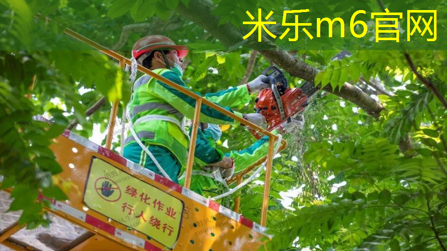 米乐：70厘米的网球拍是几寸