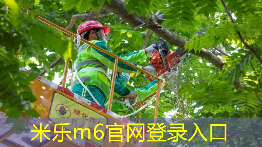 mile·米乐m6：无手胶网球拍好用吗_