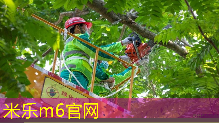 米乐：网球拍绑线方式最轻松吗_