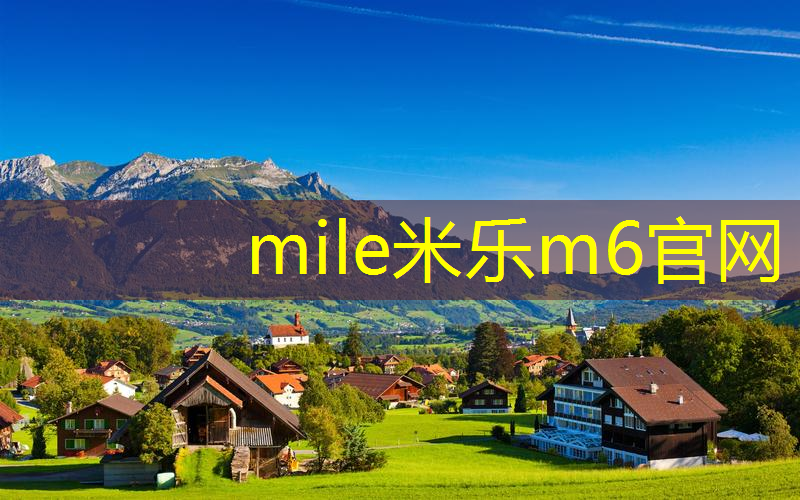 mile·米乐m6：网球拍线上色怎么调整颜色
