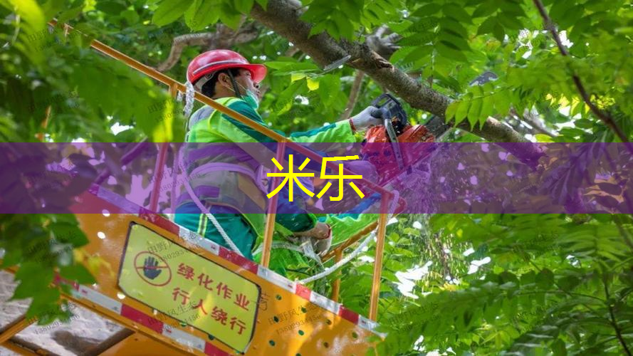 70厘米的网球拍是几寸