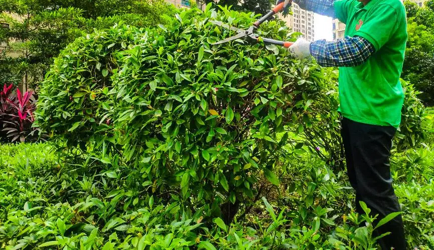 网球拍手工穿绳教程