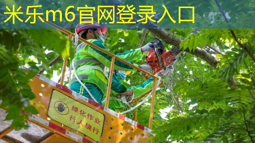 网球拍绑线方式最轻松吗_